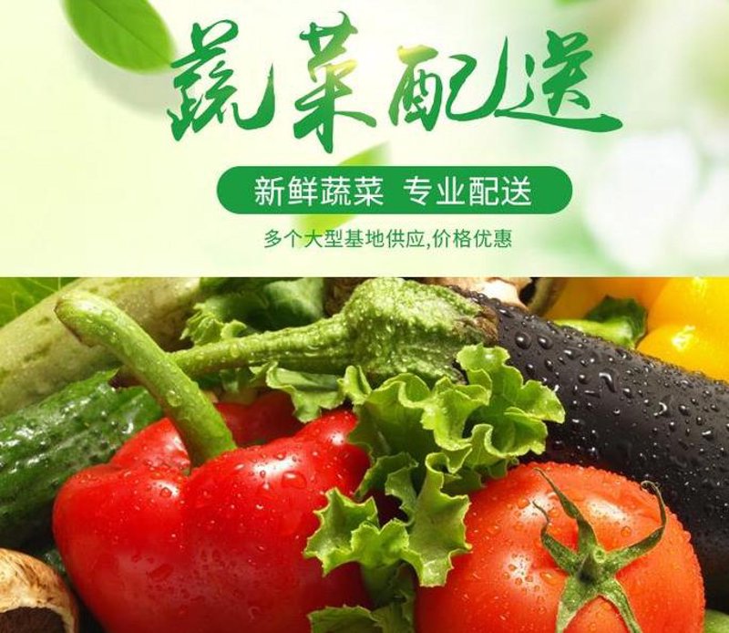 蔬菜种植基地：如何选择最合适的种植模式
