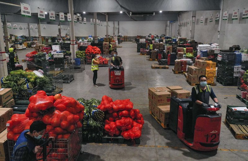蔬菜种植基地：从选址到管理，全面解析成功之道